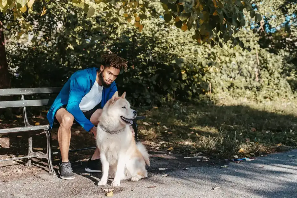 Older dog with an owner in a park