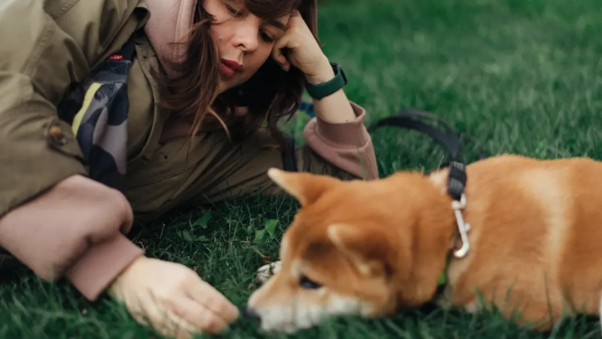 Older dog with an owner in a park