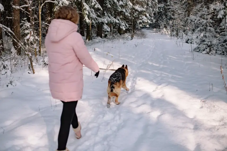 Owner wiping a dog's paw with a towel after a walk on a snowy street
