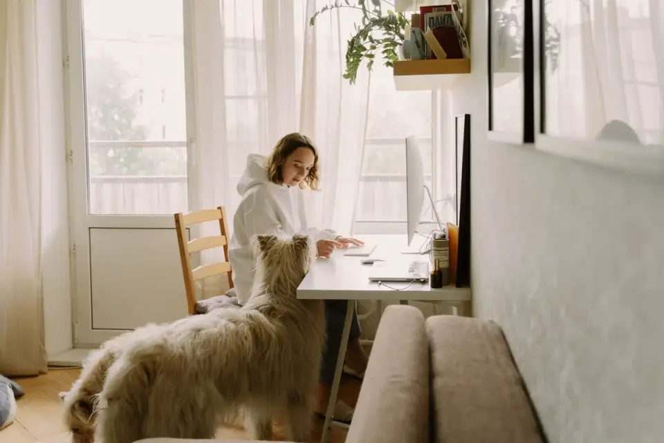Veterinarian discussing bloodwork results with a dog owner