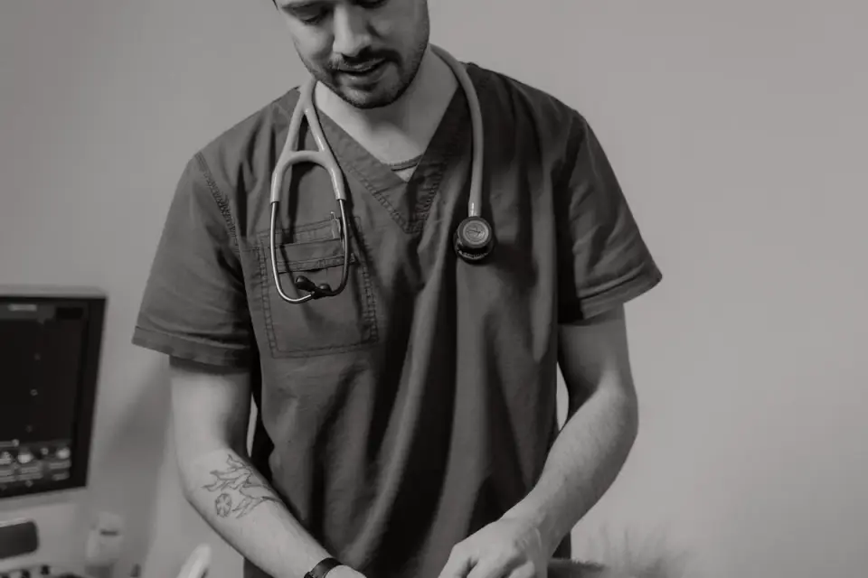 Veterinarian running hands along a senior dog&#x27;s spine and rib cage during a physical exam
