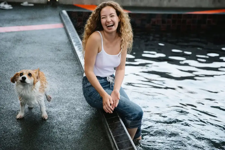 Wet dog outdoors